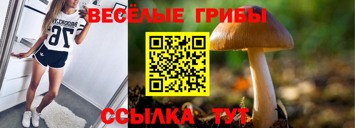 Псилоцибиновые грибы MAGIC MUSHROOMS Саратов